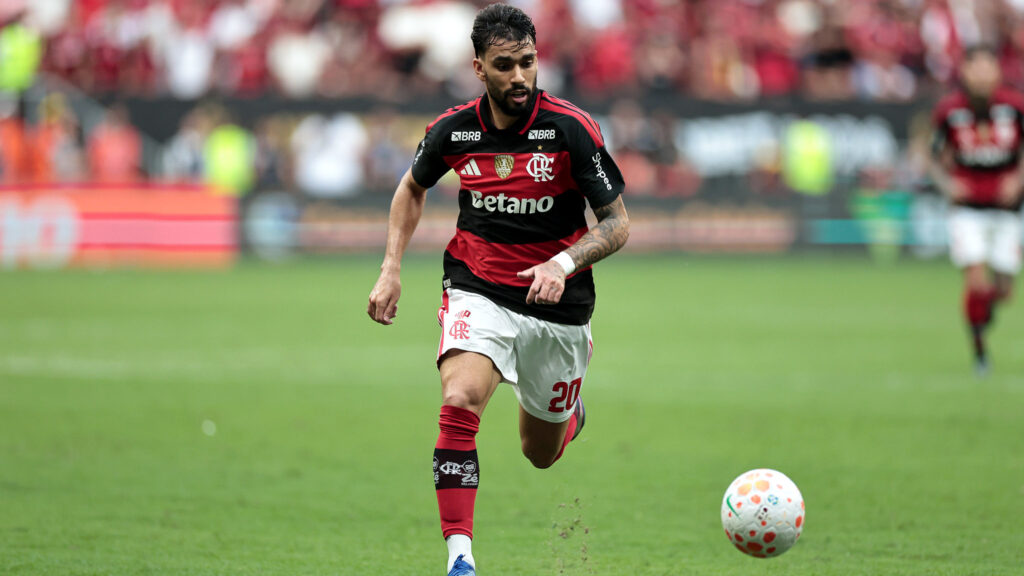 Gilvan de Souza / CR Flamengo