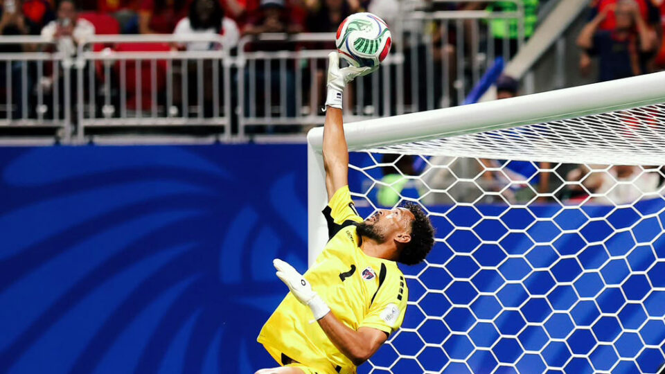 (Twitter FifaWorldCup_pt)